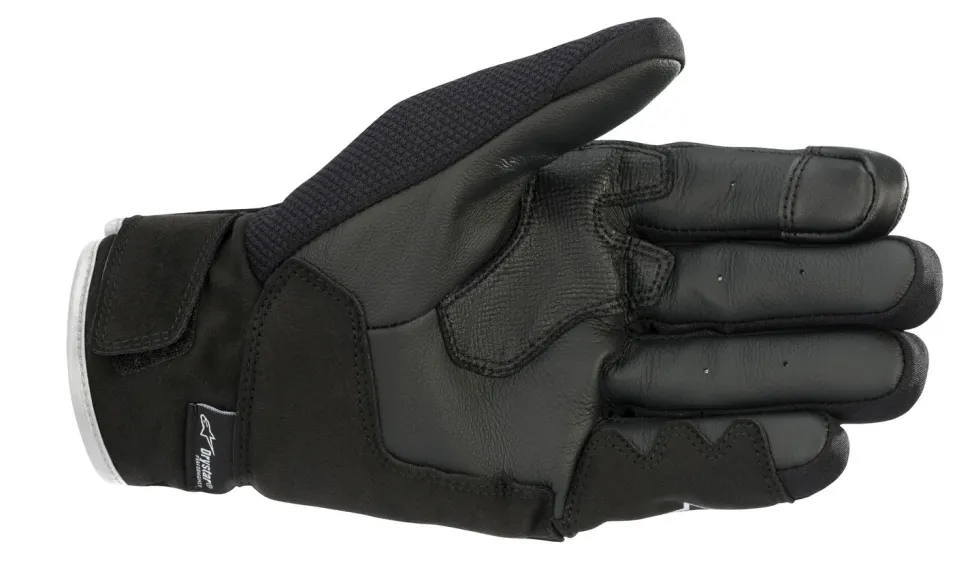 Alpinestars Handske S Max Drystar Svart