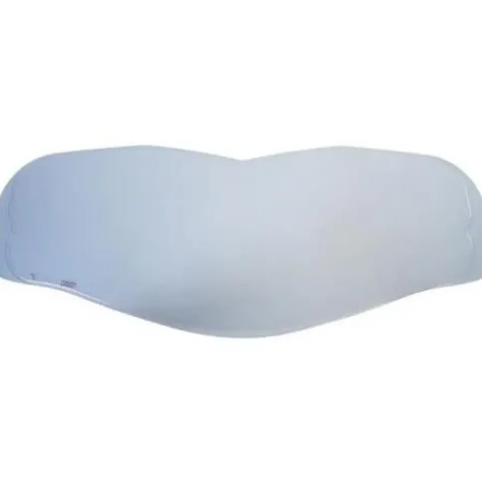 Ff805 Pinlock 120 Max Vision Dks408 Blå